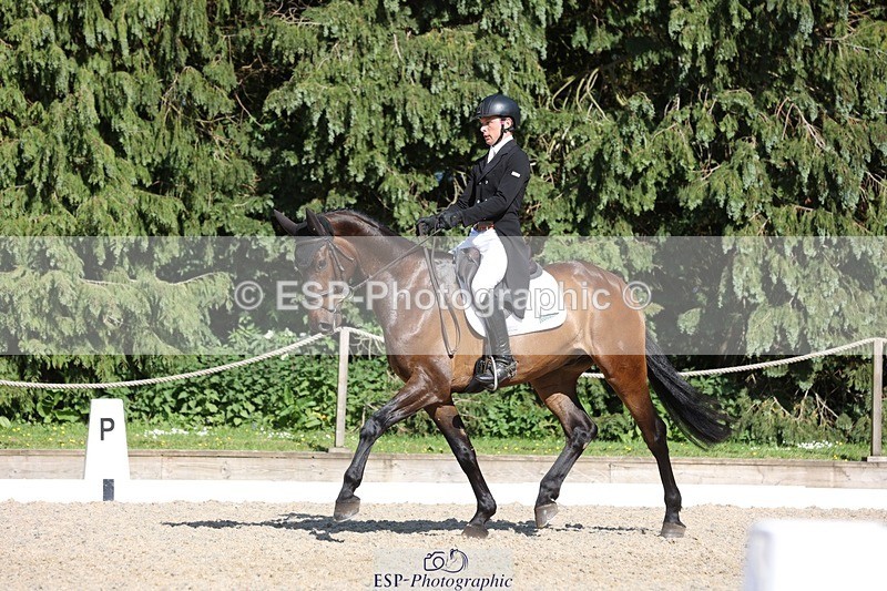 230526-165936-07879 - 174-LANCELOT_BMG-Alfie_Marshall-WEDTrotUp+DR