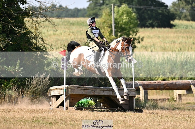 250824A-143624-37815 - 2125-Hen.Jeanes-Painted.proper