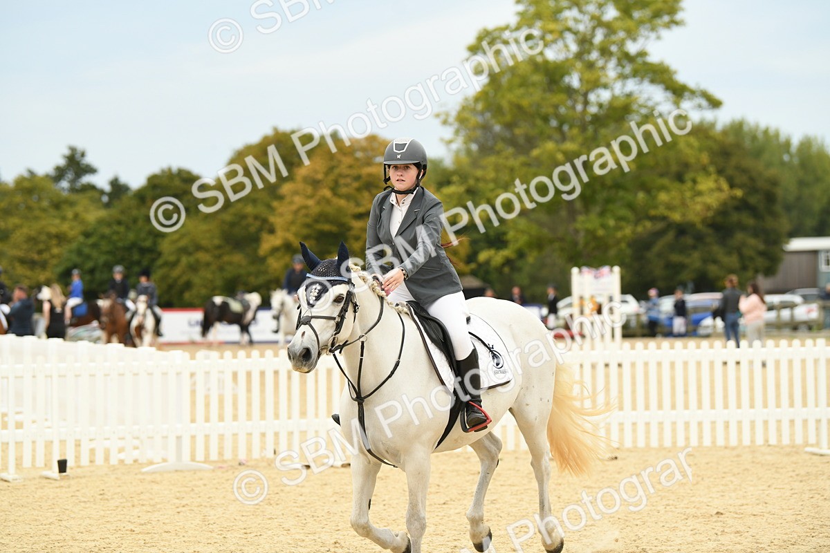 SBM_73015 - J16 - Junior Pony 75cm Championship