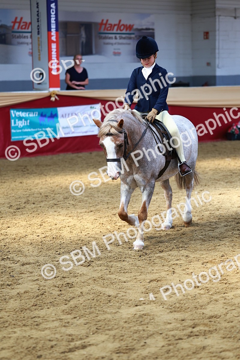 SBM_23947 - Class 905 - Supreme Final - Ridden Veteran
