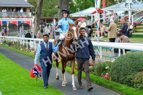 080925-Race 6-Rhapsody-9688 - Race 6 5.00pm Sky Bet Build A Bet Fillies' Handicap