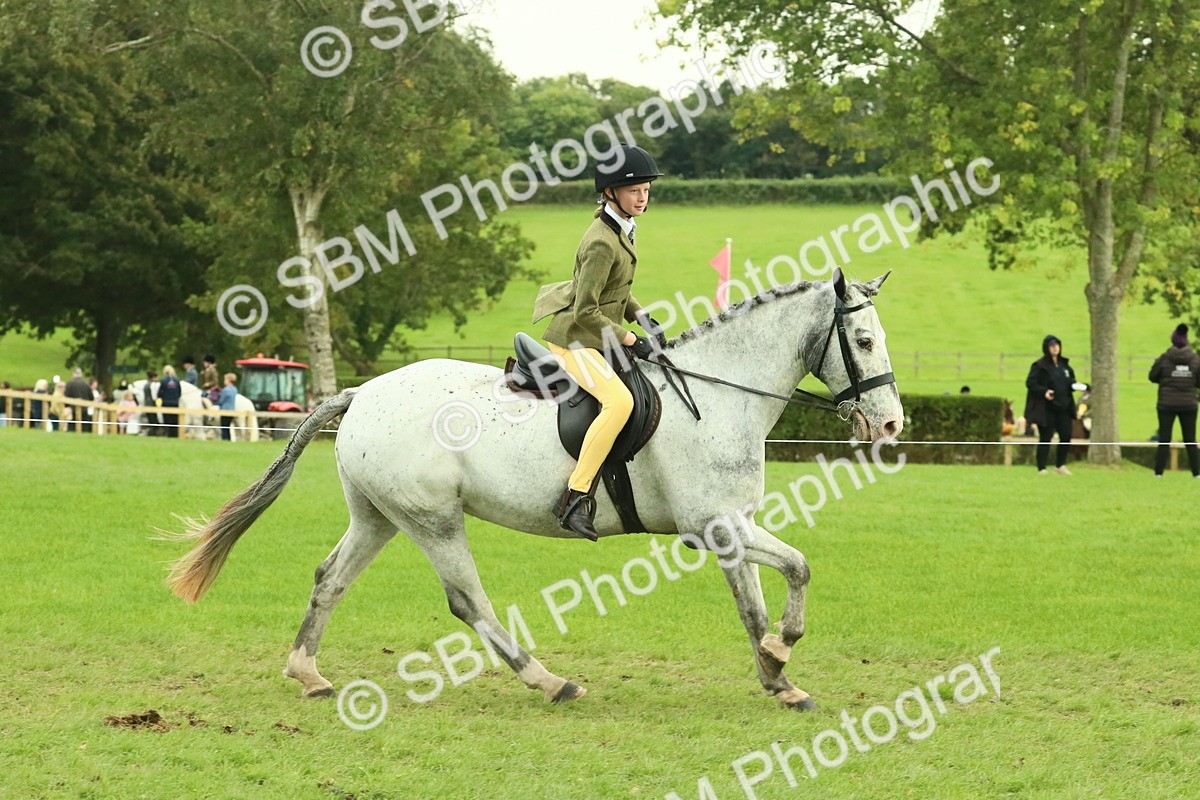 SBM_74066 - S 61 - Show Pony & Show Hunter Pony Ridden