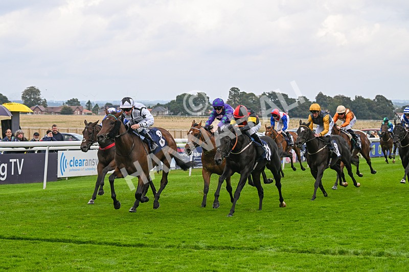 240924-Race 3-Nala Star-6111 - Race 3