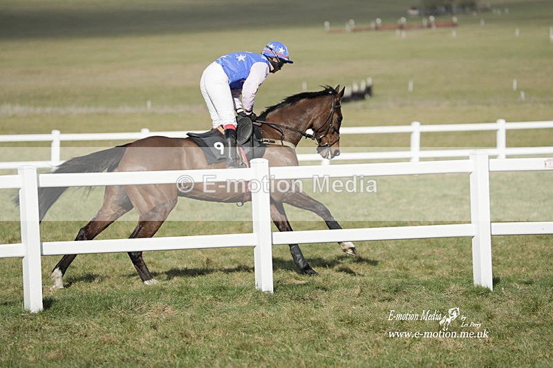PtP 260223 702 - South & West Wilts Point-to-Point Larkhill 26/02/23
