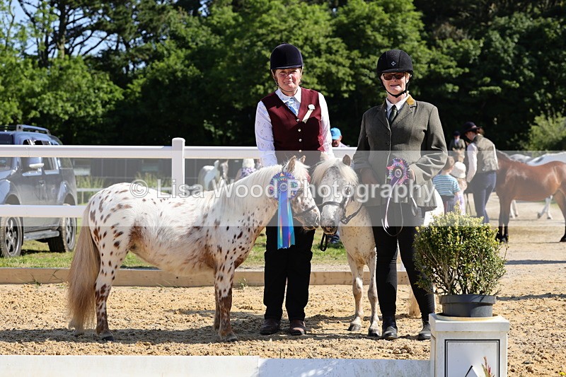 1X9A0727 - Class 3: Youngstock 1, 2, 3 year old not to exceed 153cm