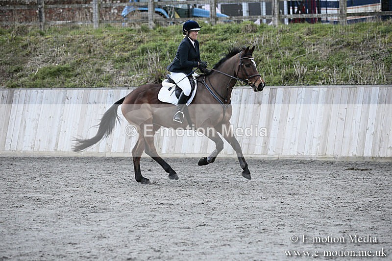 BVRC SJ 170319 464 - Bourne Valley Riding Club Showjumping 17/03/19