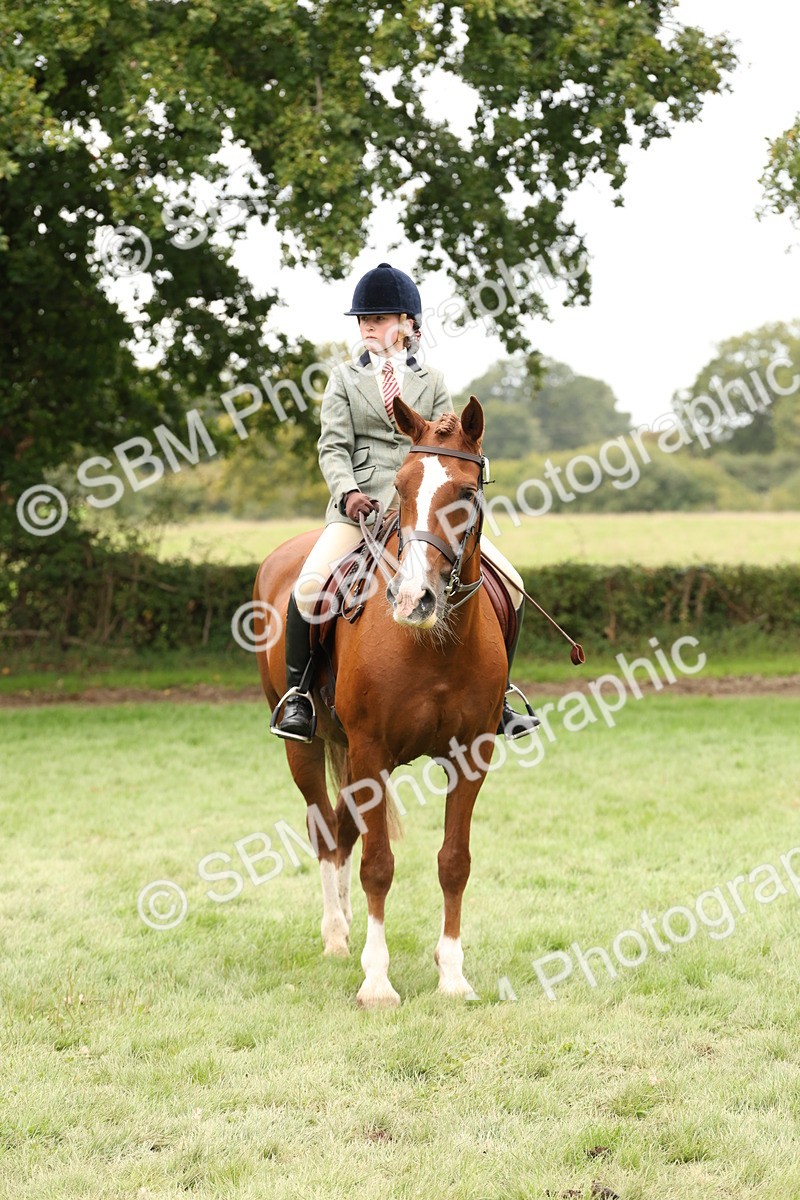 SBM_66364 - S66 - Hunter Ridden