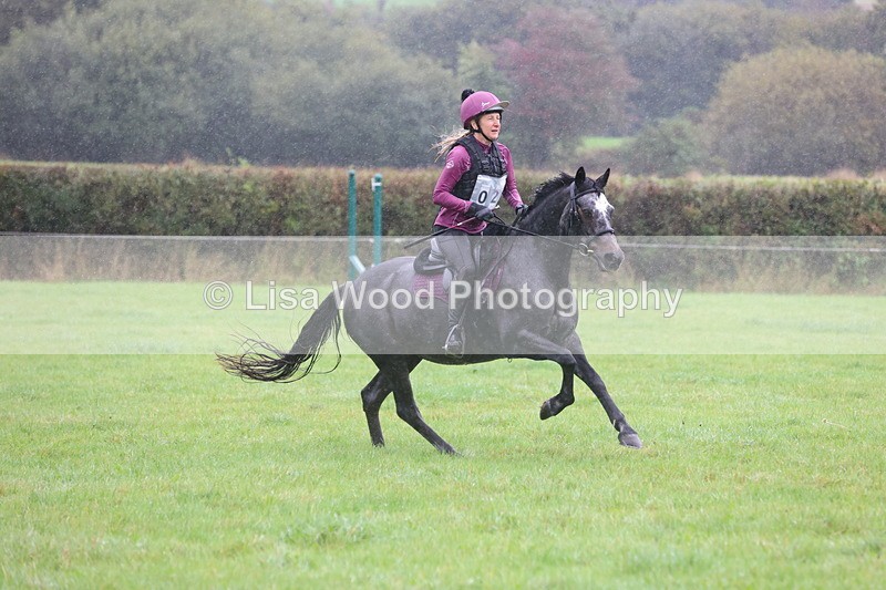 JPP_5112 - Class 1: 65cm : Showjumping