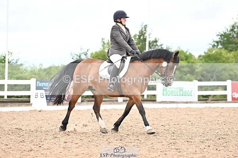 250705-175538-04473 - N2 Section BDNOV2 16.29 to 17.46