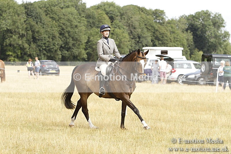 _BS_0686 - BVRC Show 2018 Ring 3