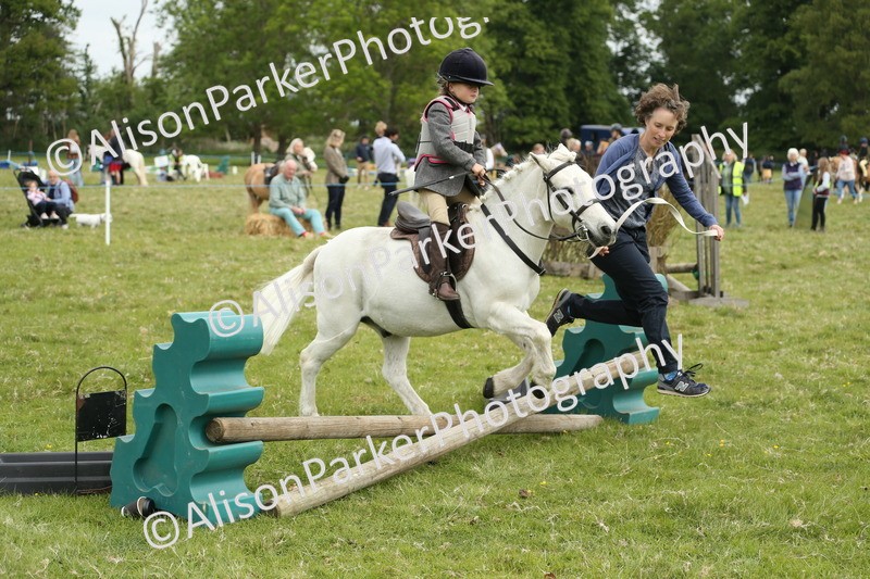 20250517-0568 - Class 20 - Beginners Working Hunter
