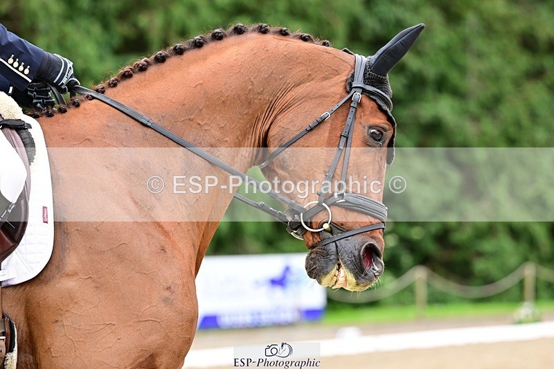 260529A-113421-07498 - C-354-Tom.Rowland