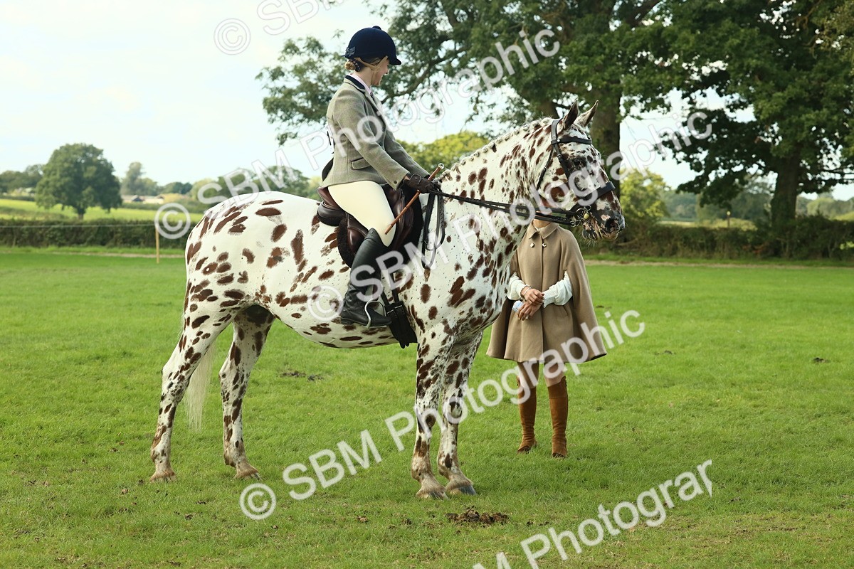 SBM_62457 - S62 - Foreign Breeds Ridden
