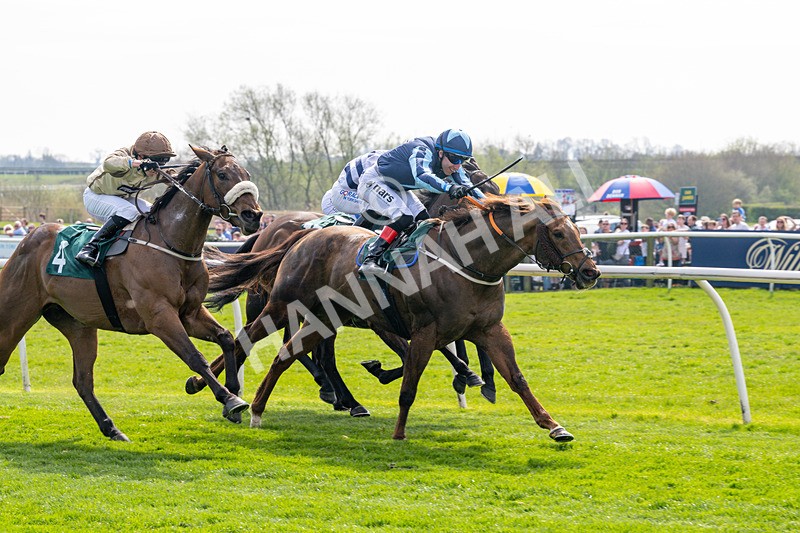 080426-Race 1-Golden Prosperity-9585 - Race 1