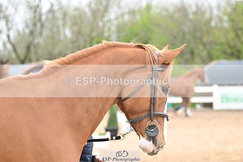 250423-154345-01780 - 3pm to 4pm