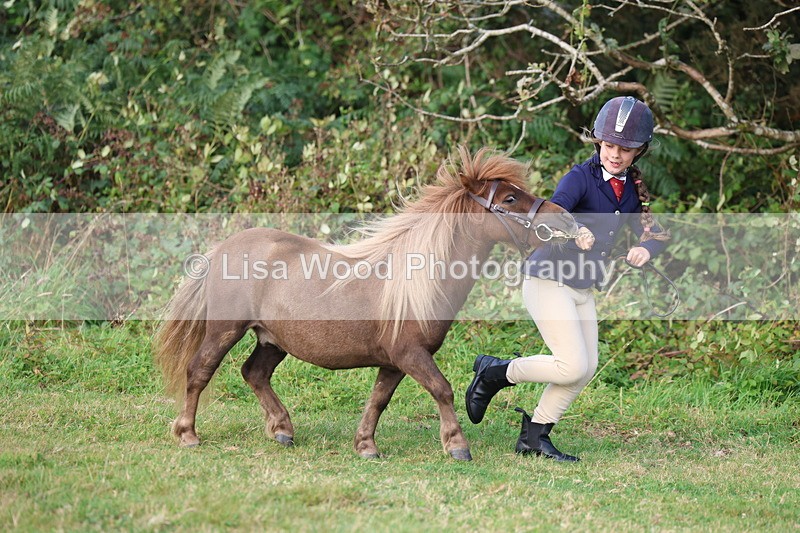 3E7A3194 - Class 12: M & M Small Breeds