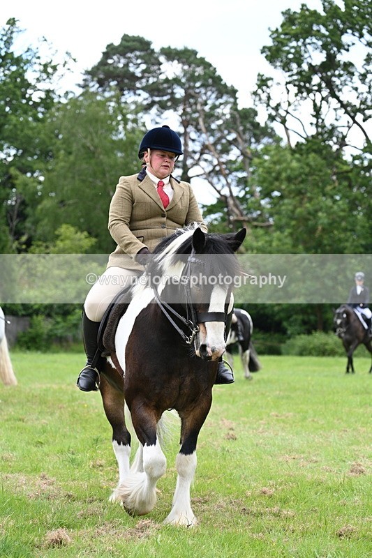 WJ7_2171 - Class 12A Coloured Class