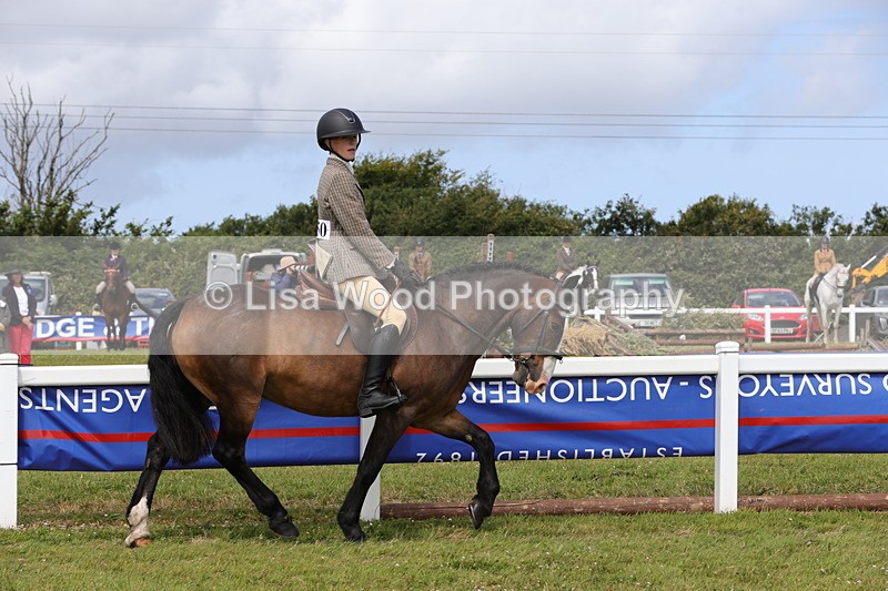 1X9A3966 - Class 32: Show Hunter Pony 153cm and under