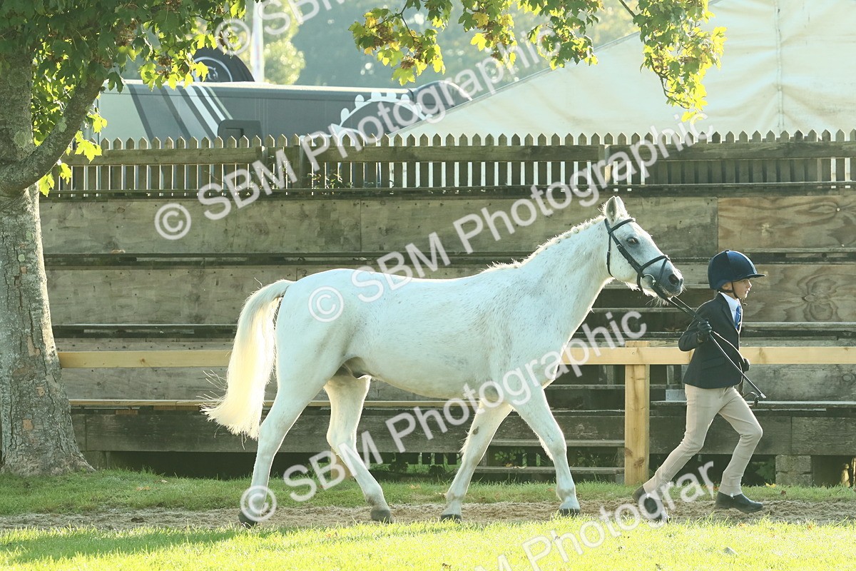 SBM_57361 - S37 - Starters In Hand Showing