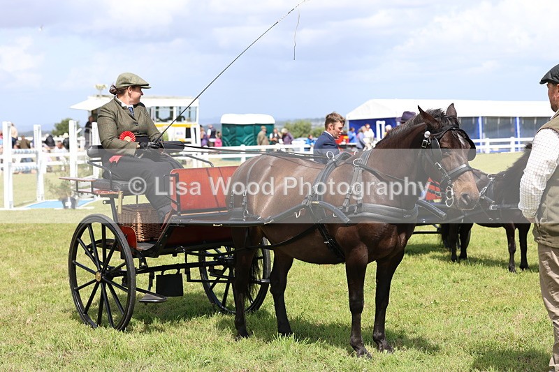3E7A2815 - Class 12: Open Driving