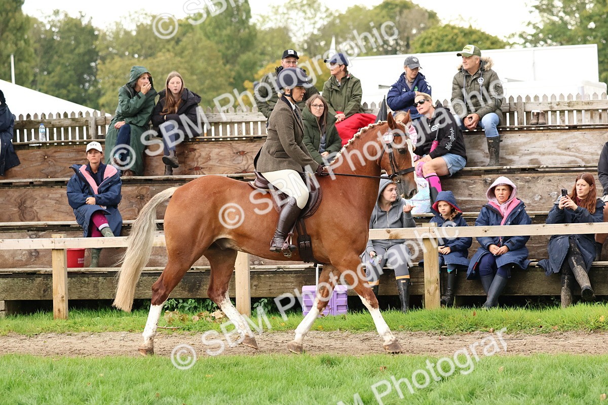 SBM_44968 - S27 - Young Veteran Ridden