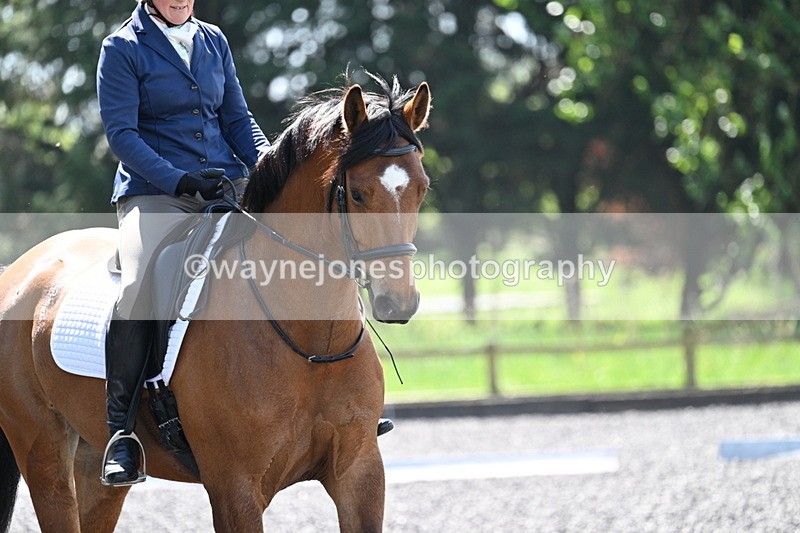 WJ7_0319 - Time 12:38 to 13:26