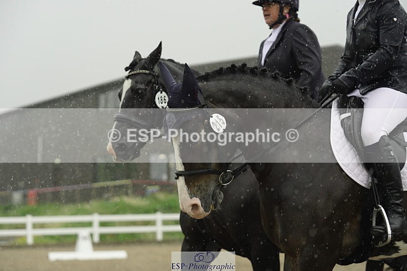 230708A-123152-00420 - BRC Pairs 5