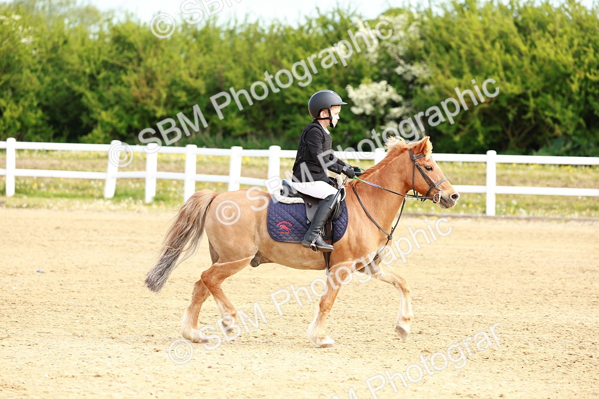 SBM_006615 - Class 1 - 40cm