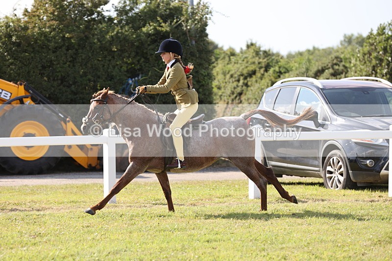 JPP_2966 - Class 20: Working Hunter 70cm