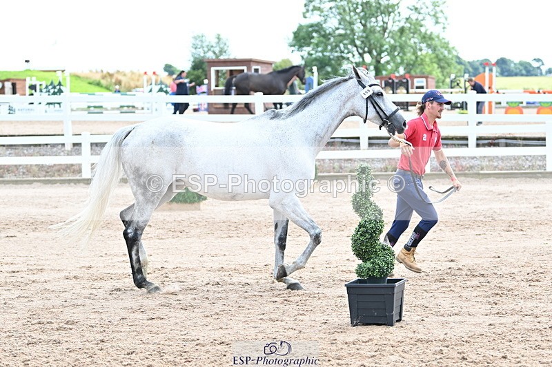 240717A-143914-02166 - Trot Up 2pm to 3pm - This folder is not in time order