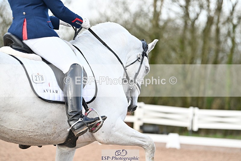 240218A-150350-08299 - 210-Charlotte.Dicker-Amaranto.D.Centurion