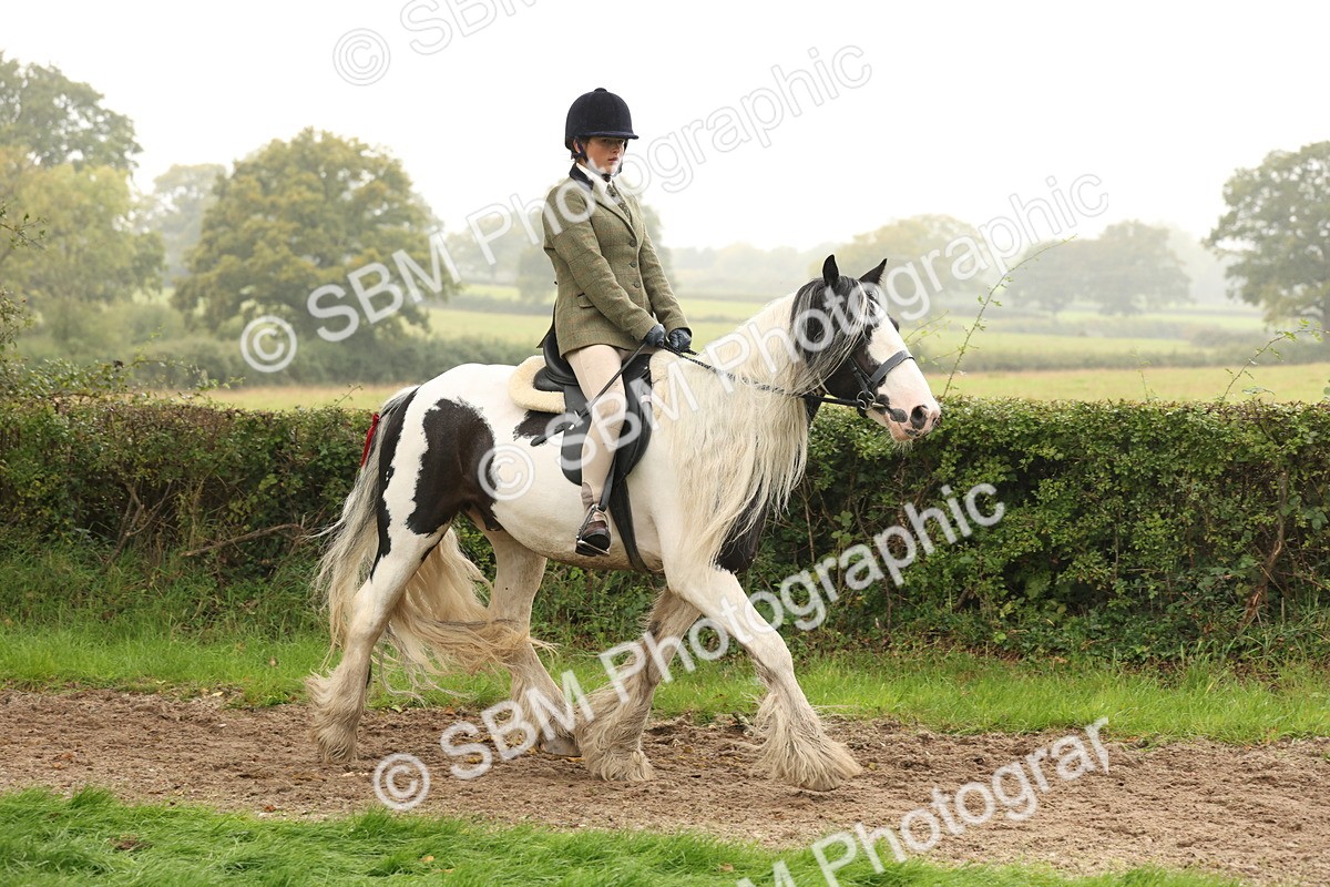 SBM_72676 - S70 - Traditional Cob Ridden