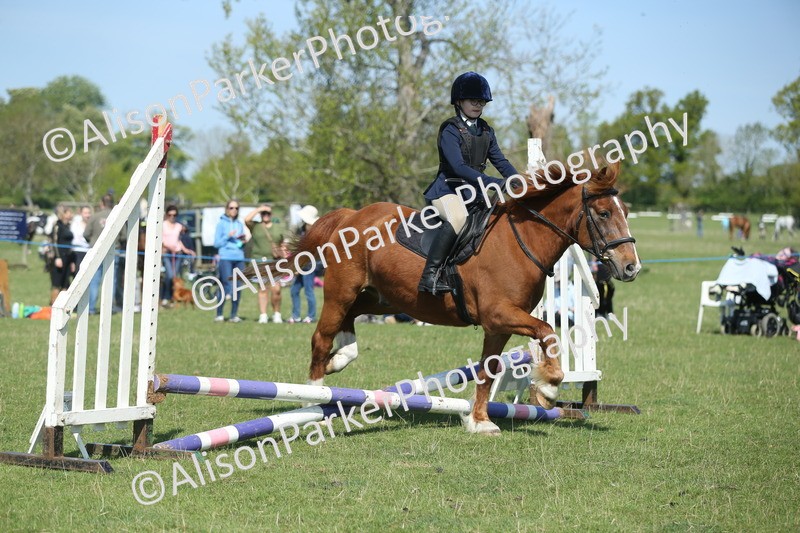 20250427-1902 - Class 2 - Mini Jumping 30cm
