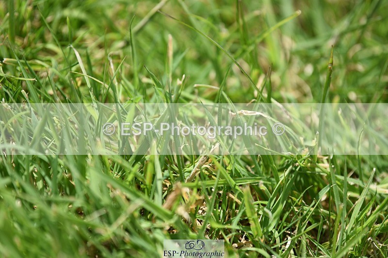 240605-134734-01051 - Cls 6 Elementary 59 SQ