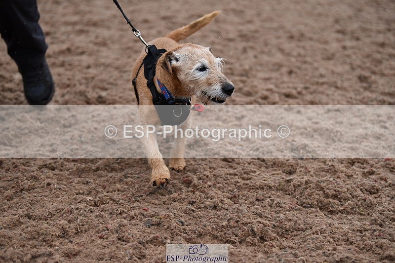 240518A-130136-01244 - Cls 6 Best Veteran