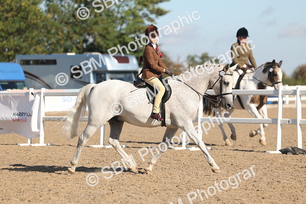 SBM_12295 - Class 304 - Ridden part Bred Horse Pony