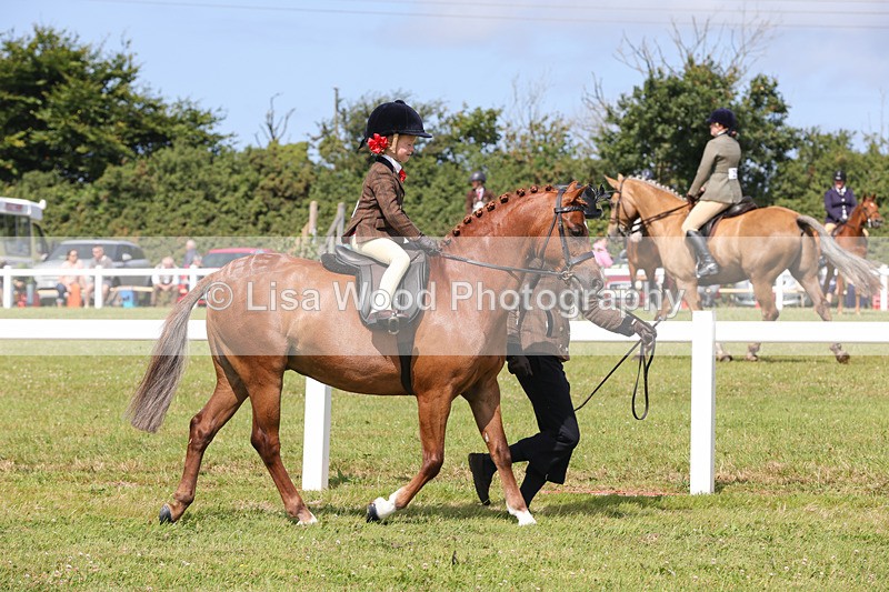 1X9A3834 - Plaited Mini Ridden Championship