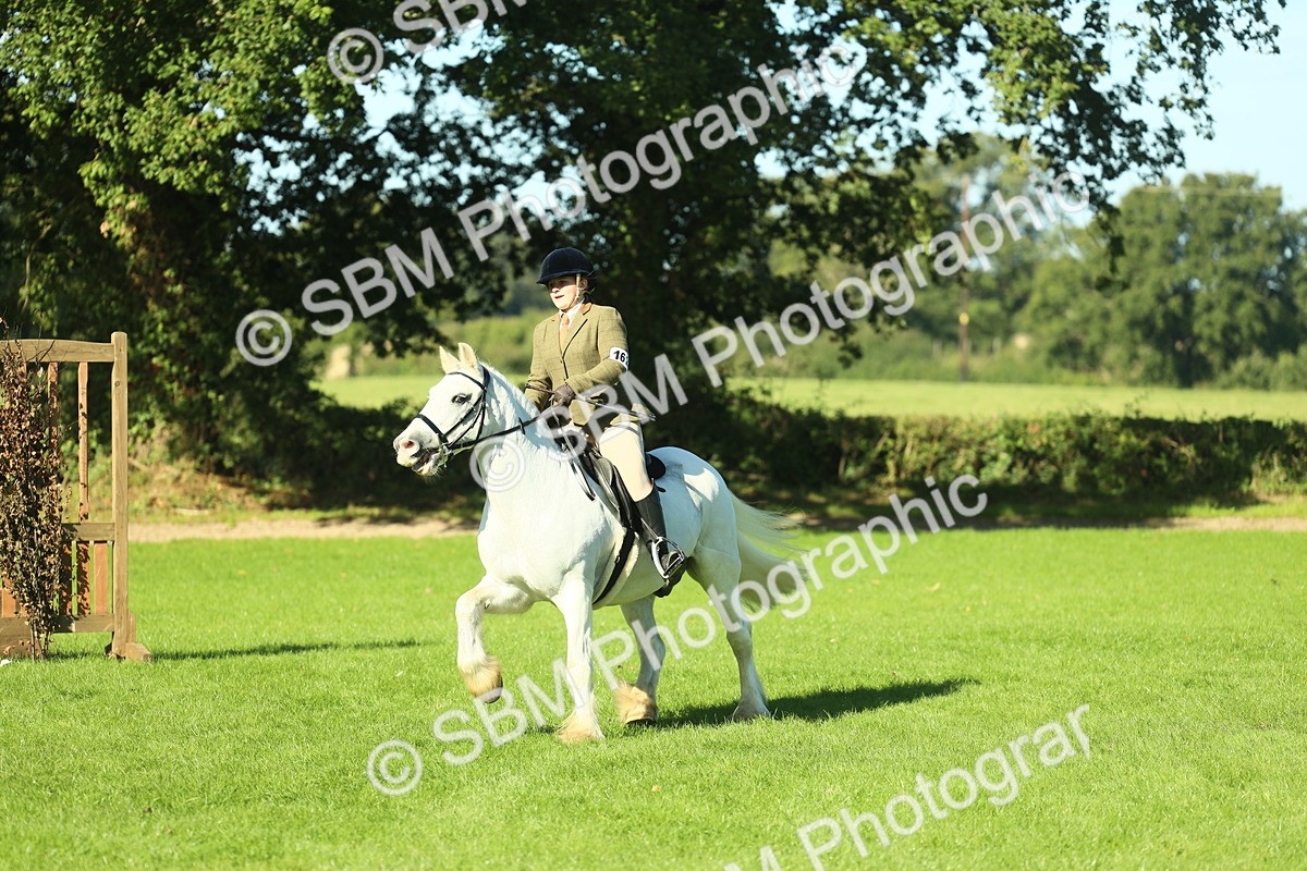 SBM_37386 - S29 - Novice & Newcomers Working Hunter Pony