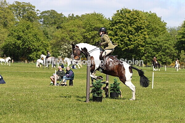 IMG_4096 - Working Hunter