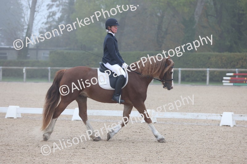 20251012-0004 - Class 1 - Prelim 5