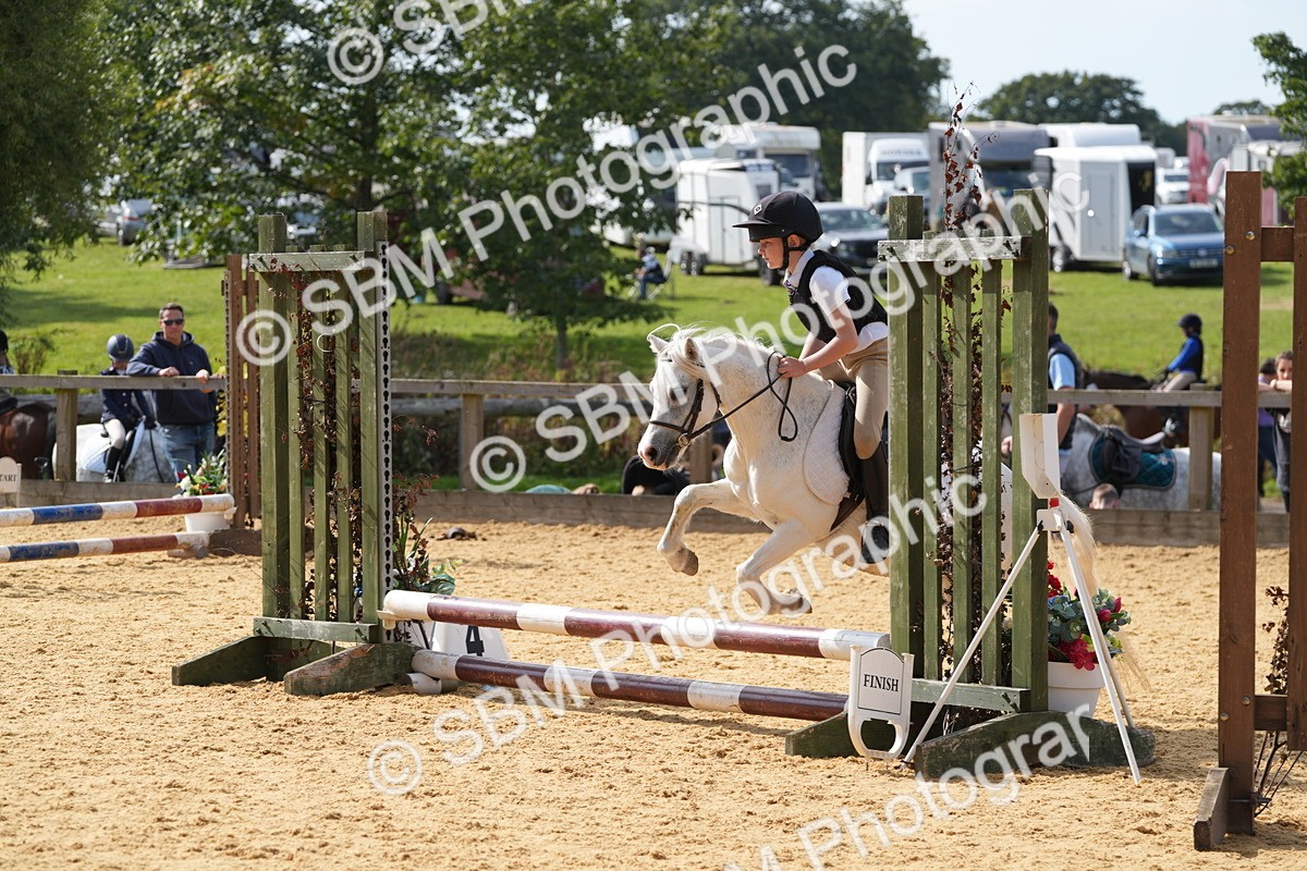 SBM_68407 - J3 - Mini Tour Junior Pony 40cm Championship