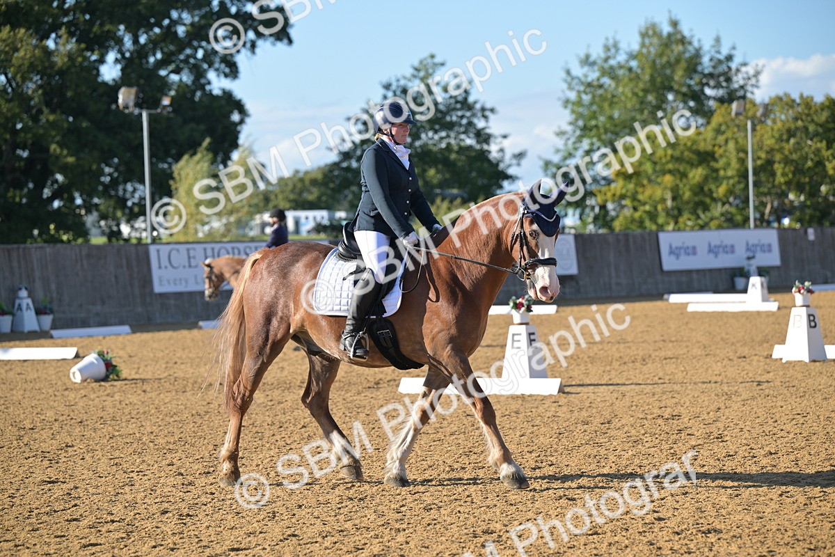 SBM_12989 - D3 - Small Tour Championship Intro 3