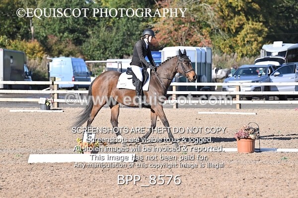 BPP_8576 - SHORT ARENA