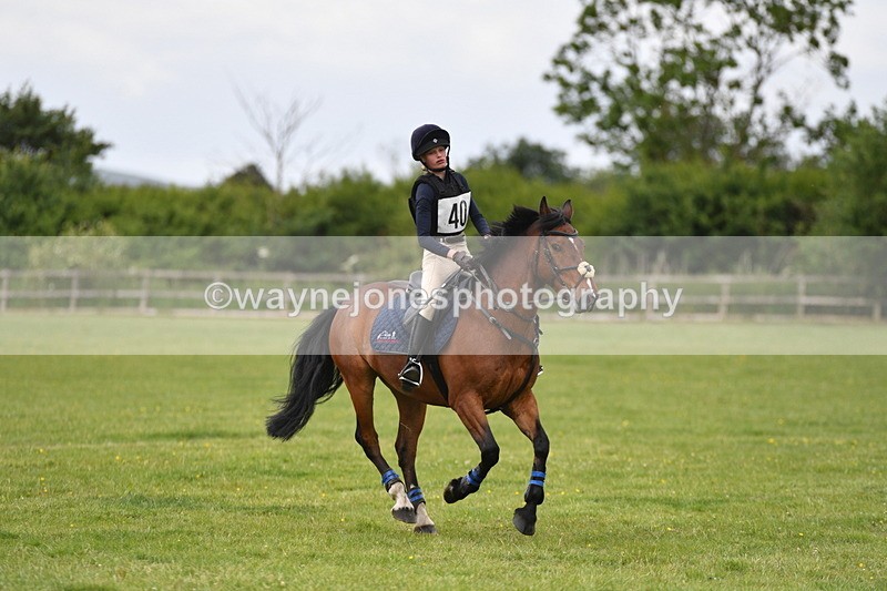 WJ5_3769 - Class 6 80cm