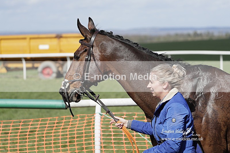 PtP 100423 678 - Old Berkshire Point-to-Point Lockinge 10/04/23