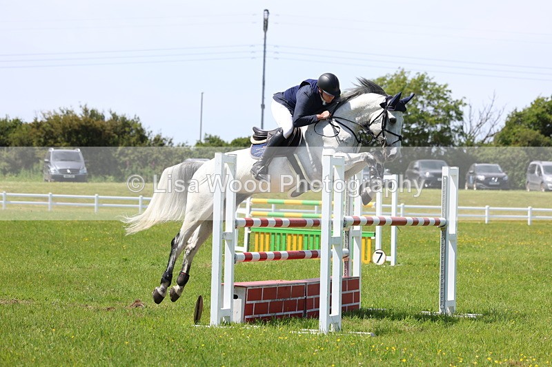 3E7A1276 - Class 12: Senior Foxhunter/1.20 open