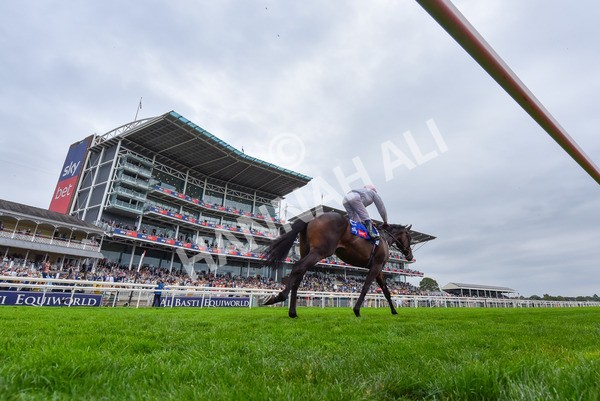 230825-Race 4-Ethical Diamond-9793 - Race 4 3.35pm Sky Bet Ebor Handicap