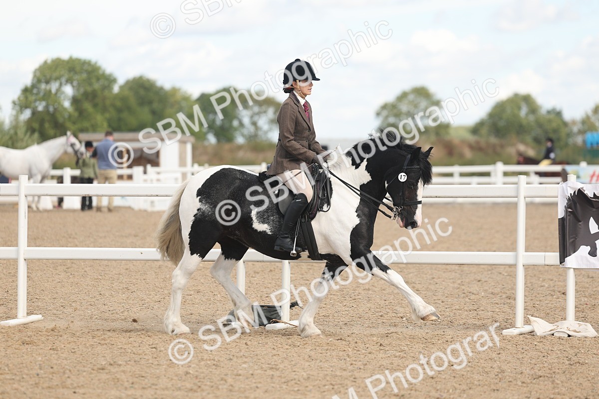SBM_14635 - Class 307 - Ridden Coloured Pony