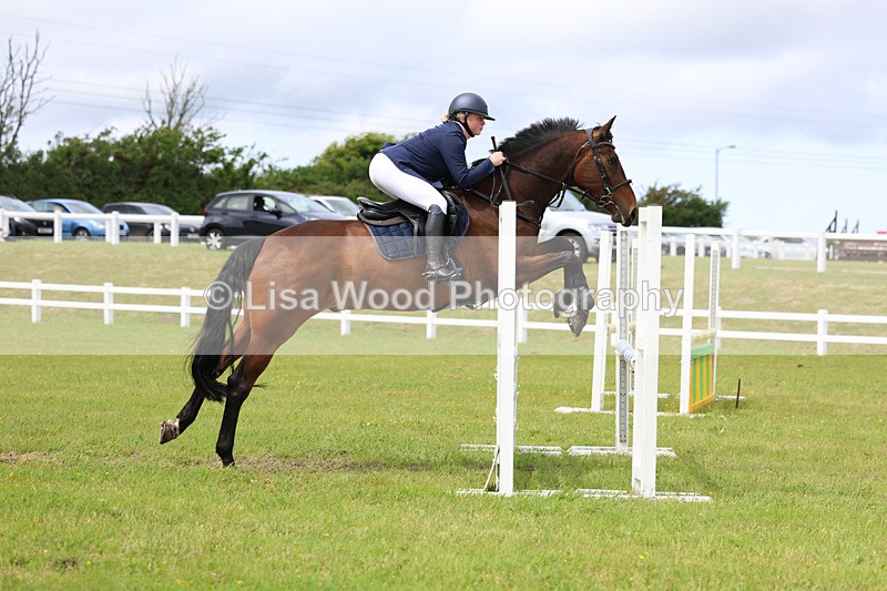 3E7A7762 - Class 13: Senior British Novice/90cm open