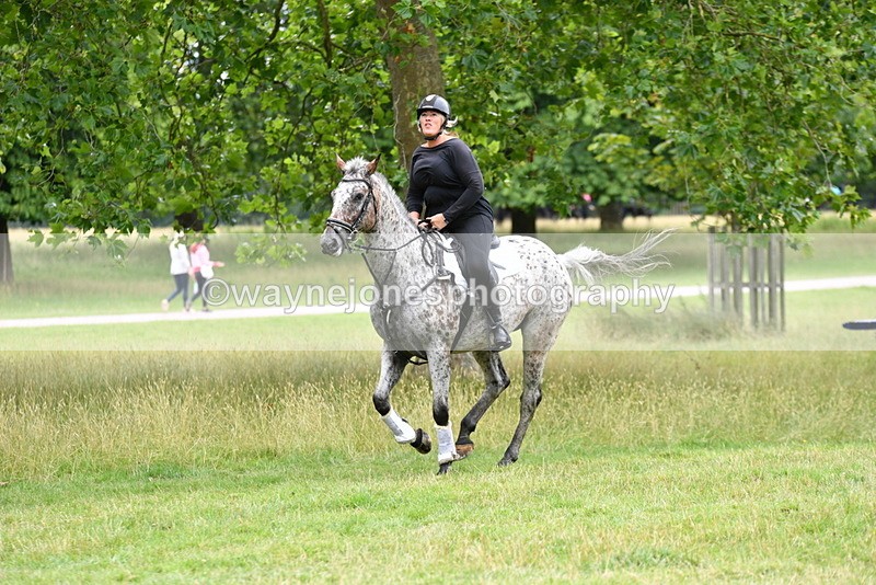 WJ5_0740 - Time at Jump 11:31 to 12:19